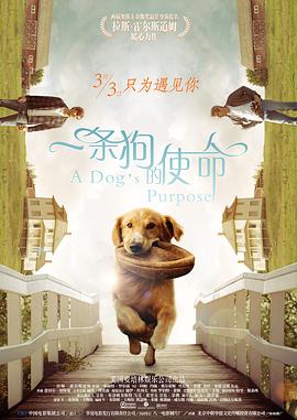 十七年前的约定